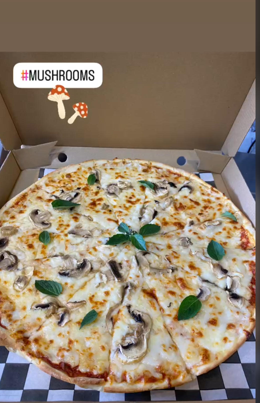 mushroom Pizza
